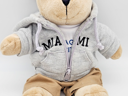 Starbucks 2006 Local Miami Hoodie Bearista Bear Hometown Special Edition - Picture 5 of 16