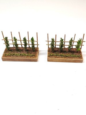 Spur N Garten Schrebergarten Landschaft Sträucher in erhöhten Pflanzgefäßen Spalier x2