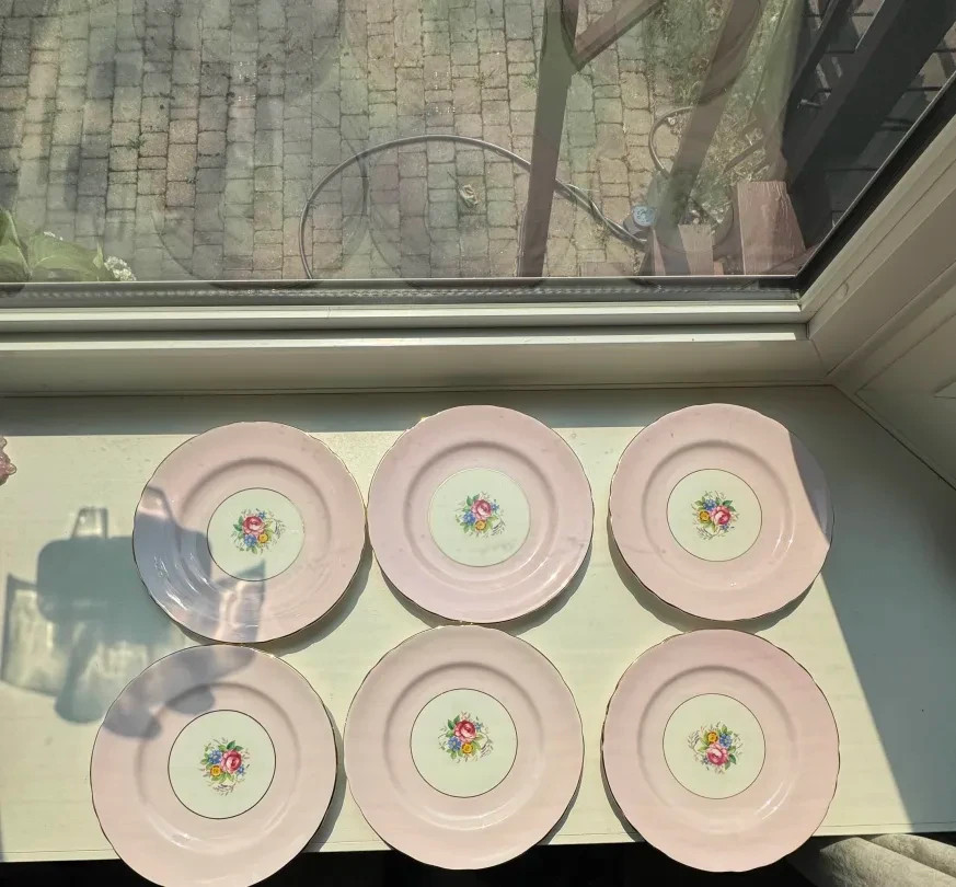 Royal Grafton Bone China Set Of 6 Plates Floral Pink Pattern (6715 England)