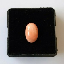 Aa+ Qualità 100% Naturale Giapponese Mare Corallo Cabochon, Rosa Colore, Loose