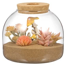 iplusmile Glass Plant Terrarium Jar, Tabletop Succulent Planter Easter Candy ...