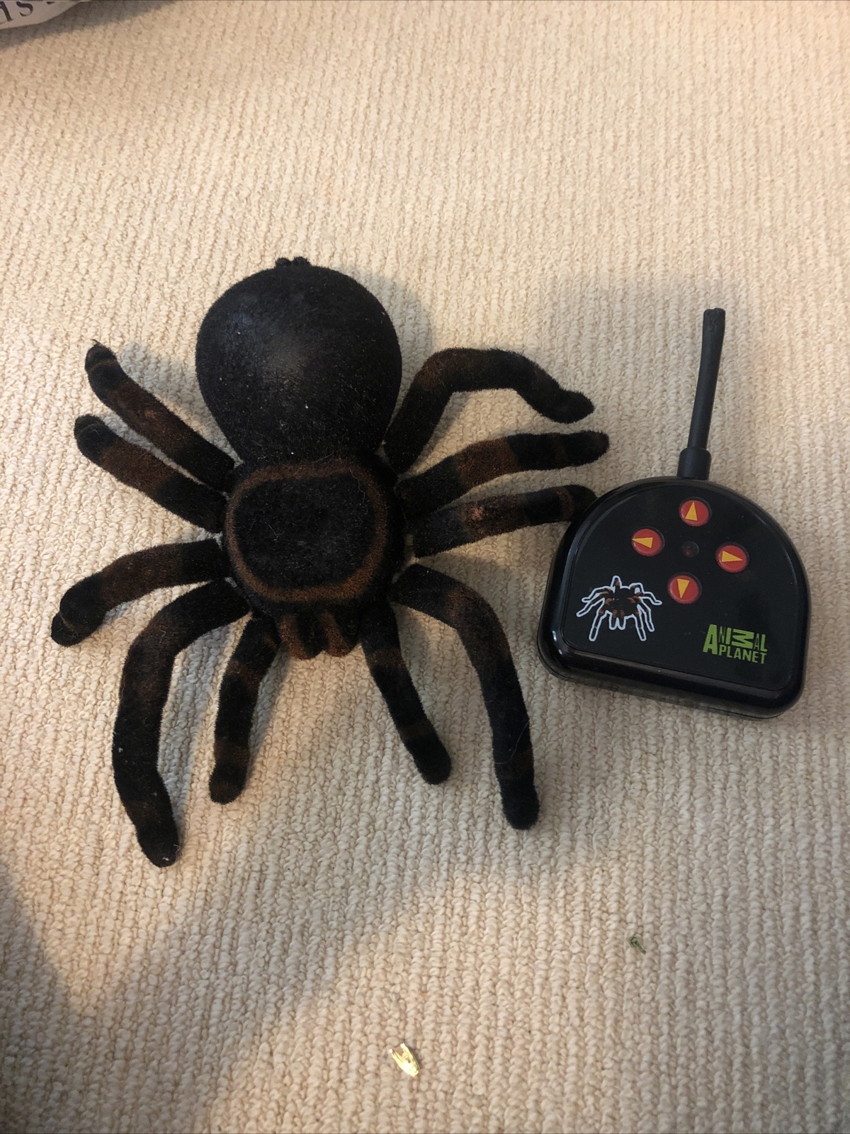 remote control tarantula