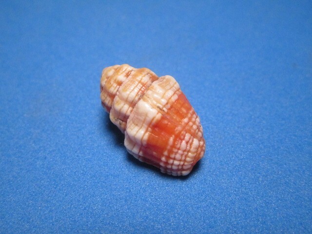 Picture 2 of 6