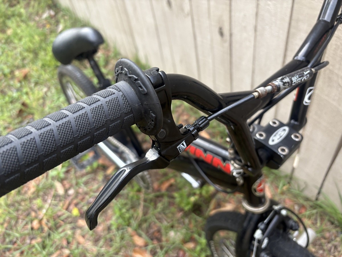 Schwinn XS torqueflite Jay Miron pro | eBay