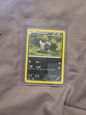 Poochyena 53/119 Common XY - Phantom Forces Pokemon Card