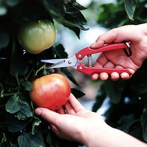ARS Needle Nose Pruner HP-SE45 - Thumbnail 2