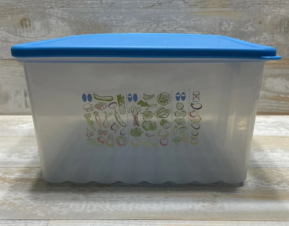 TUPPERWARE Fridge Smart LARGE 9” 5” Tall SHEER BLUE 4350 Veggie Keeper