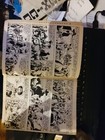 Foto 19 di 24