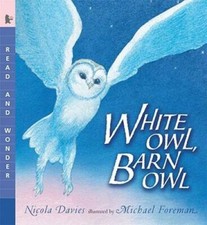White Owl, Barn Owl: Read and Wonder - Paperback By Davies, Nicola - GOOD