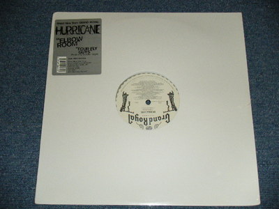 BEASTIE Boys. 1994 レコード s-l400.jpg