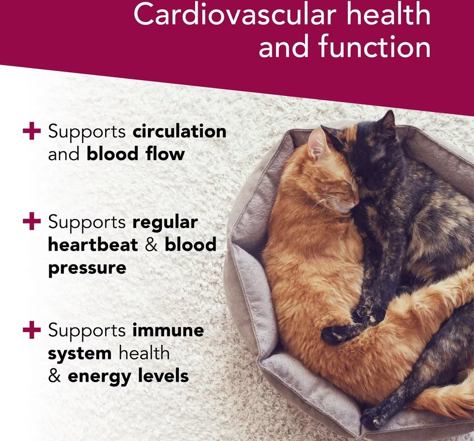 VetriScience Cardio Strength Capsules Heart Supplement for Cats & Dogs, 90 count - Image 4 of 4