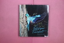 367427 Franz A. Rudelberger EUROPAS TIERWELT Safari-Verlag Erlebte Natur in 280