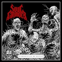Soul Grinder - Chronicles Of Decay - Cd - F72Z