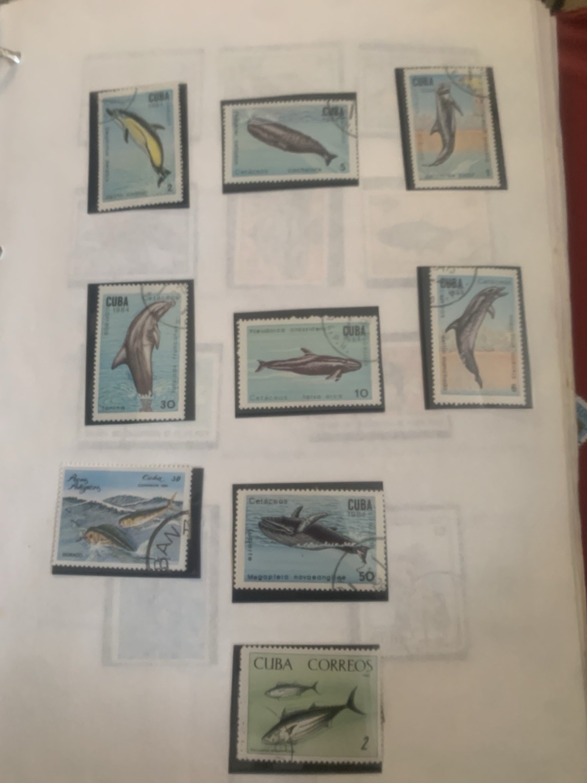 Picture 5 of 24