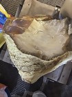Huge 29 Pound Raw Natural Oregon Fire Opal Rough Specimen, ￼ — photo 6