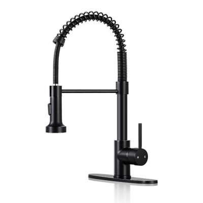 DJS Kitchen Faucet with Pull Down Sprayer, Matte Black, Dual Mode, Single