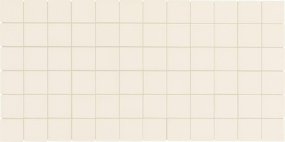 Matte Biscuit Porcelain Mosaic Tiles 2''x2'' for Stylish Floors & Walls (12 PC)