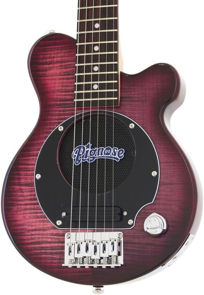 ギター Pignose PGG-200FM SPP See-through Purple Pignose Pgg-200Fm Spp See-Through Purple | eBay
