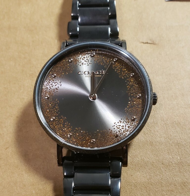 coach perry watch