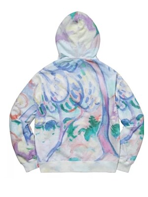 Supreme Landscape Hooded Sweatshirt Hoodie SS18 Size Large L 
