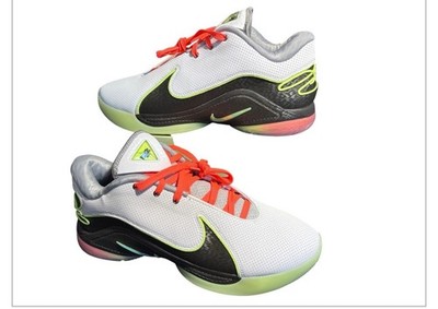  Nike LeBron XXII | EU 47| (FZ1094 101)