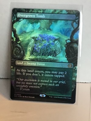 Overgrown Tomb Borderless Foil - ECL #0350 - MTG NP | eBay