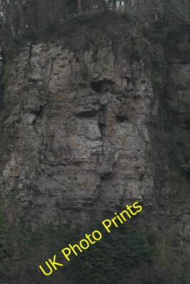 Photo 12x8 Peregrine Falcon at Coldwell Rocks Hillersland My wife spotted  c2015