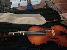 viola 16.5 inch