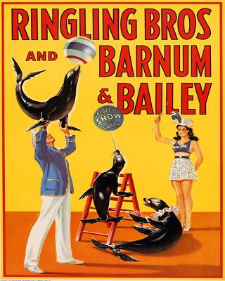 Decoration Poster.Home room art.Interior design.Circus Ringling Bros Seals.7427