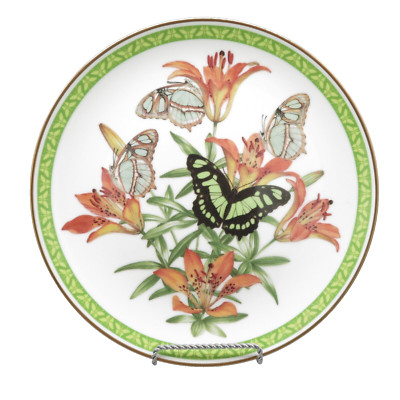 Butterflies Of The World Wilkinson Franklin Porcelain Plate 1983 Malachite