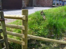 L8/80/15 Stock Fencing Sheep Pig Livestock Fence 50m Long 80cm High Galvanised