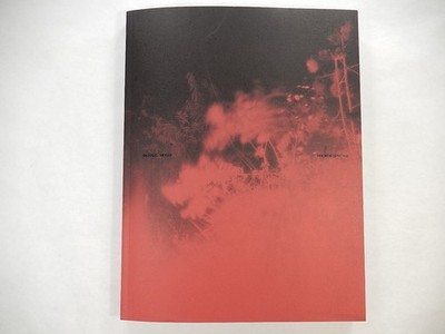 Broken Spectre by Richard Mosse, 2022, Amazon Rainforest Photo Documentary, a
