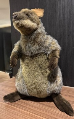Hansa Creations Wallaby  Soft Plush 40cm Height Stuffed Animal Zoos Victoria NEW