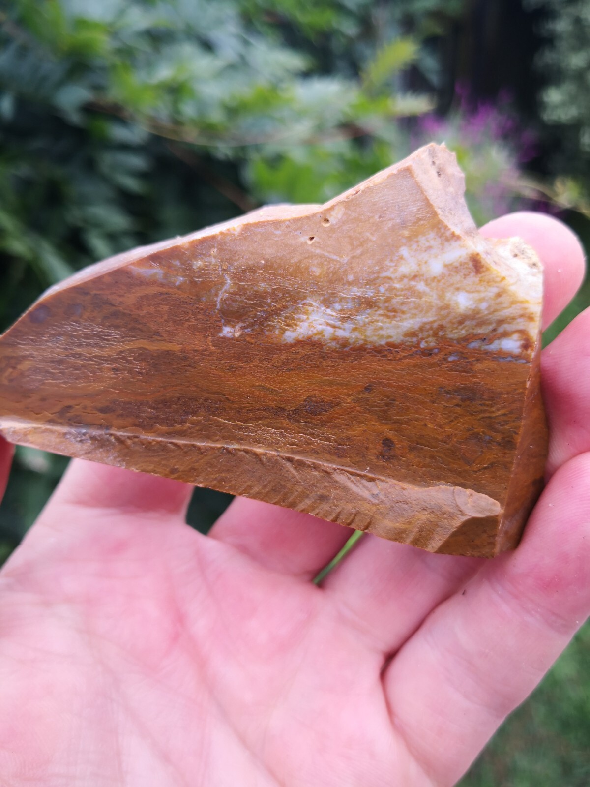 Caramel Picture Jasper NZ Mineral Slab for Lapidary Carving and Crystals