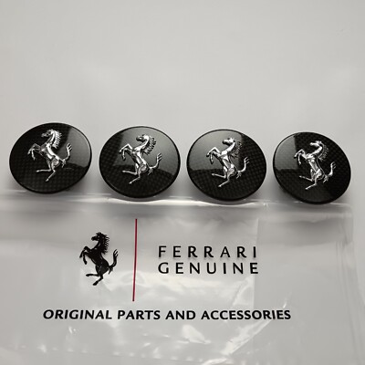 Ferrari F12 Berlinetta Carbon Fiber Rear Script Side Flag Badge