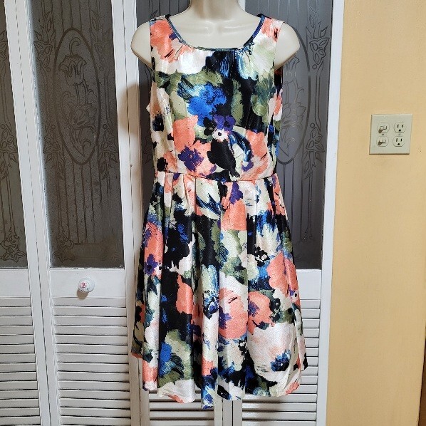 DANNY & NICOLE Ladies Floral Sleeveless Fit And Flare Zip Back Dress - Size  4