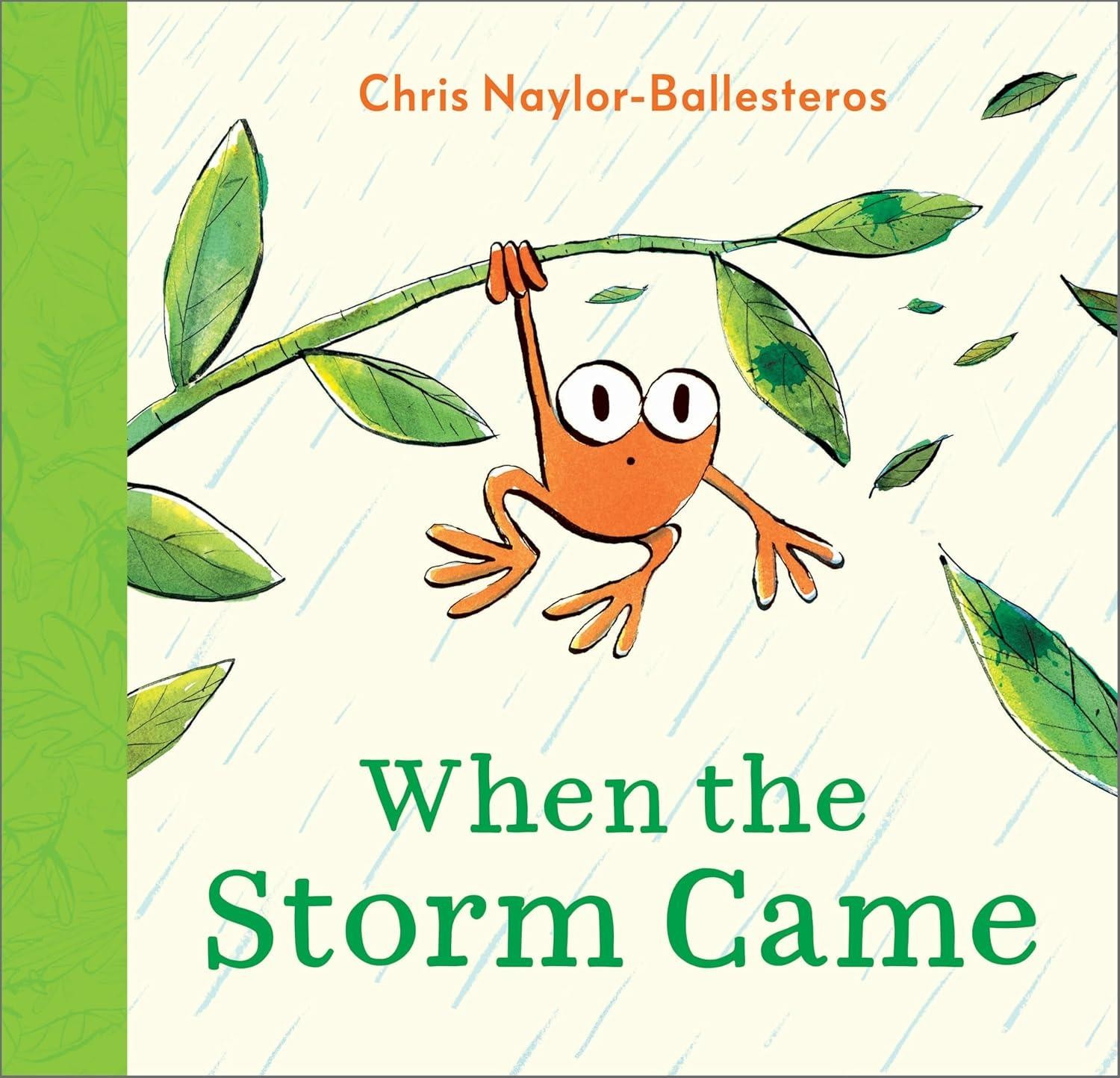 When the Storm Came by Chris Naylor-Ballesteros Paperback