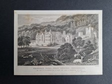 Antique 1829 print - Mamhead Hall - Exeter - Devon