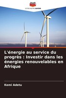 Kemi Adetu | L'éNergie Au Service Du ProgrèS : Investir Dans Les éNergies...