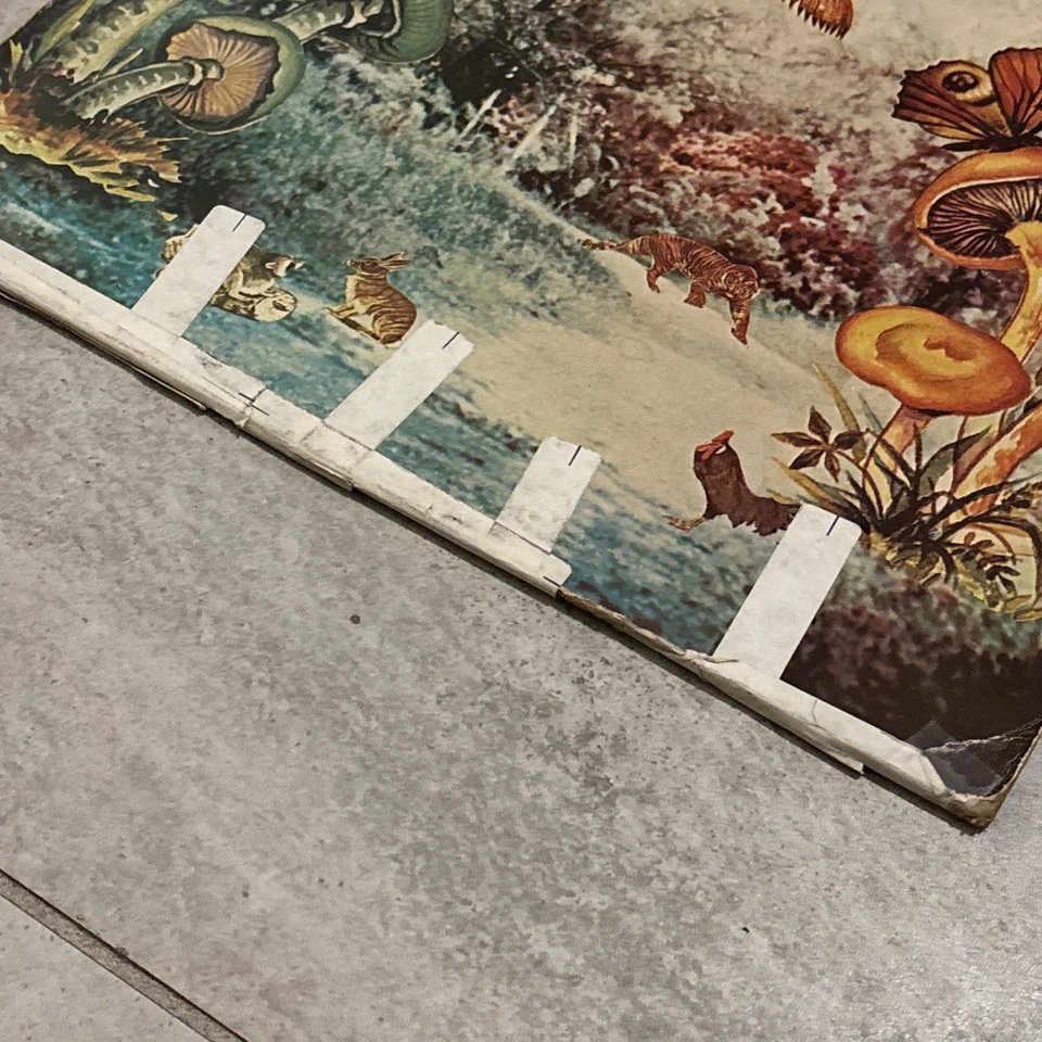 Sincerely Antique LP Vinyl Record Album, 1973 Psychedelic Rock Afro Cuban - Image 2 of 4