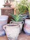 Terracotta Plant Pot, Succulent Planter, Vintage Pot with Handles, Rustic Pot