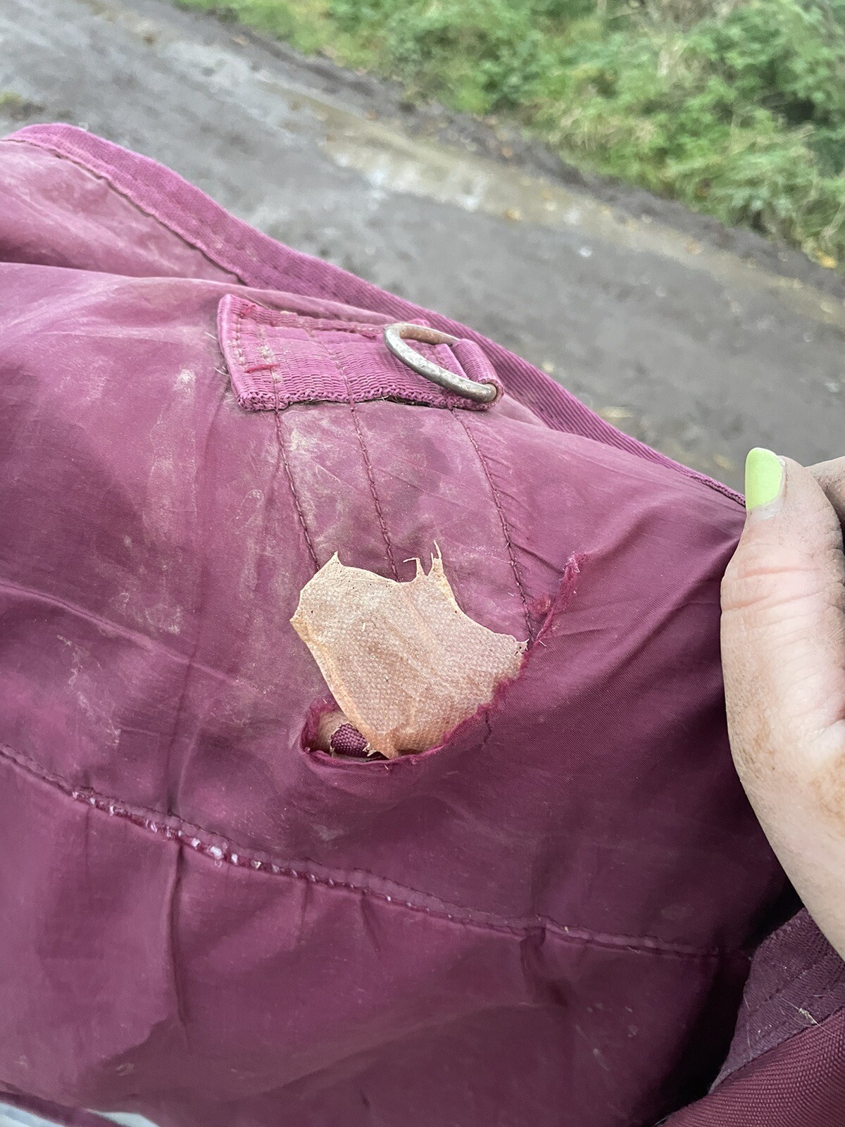 rambo 6’3 quarter horse turnout rug light/med weight eBay