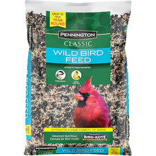 Pennington Black Oil Sunflower Classic Wild Bird Seed Feed 10-lb