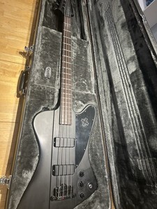 Thunderbird Bass Case | eBay