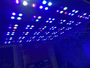 ATI Straton Pro G2 153 LED Light Fixture (Gray)(USED)generation ATI lights