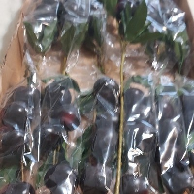 Artificial Purple Grapes Stem w/ Green Leaves, Plastic, 25 in, 1 Pack