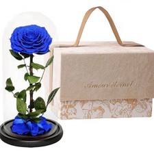 Haigivt Preserved Blue Rose Arrangement in Glass Dome 8.7" x 5.5" Floral Decor