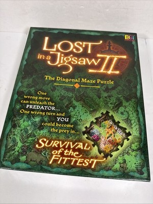 Lost in a Jigsaw II The Diagonal Maze Puzzle 515 Piece Buffalo Games 2001