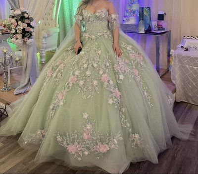 RACHEL ALLAN Light Green Floral Embroidered Ball Gown Dress Off-Shoulder Size 6