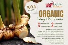 Ceylon Dried Galangal Root Powder 50g  Pure Herbal Spice  Aromatic  Medicinal